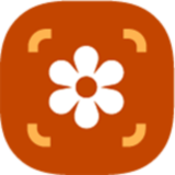 Photo Editor